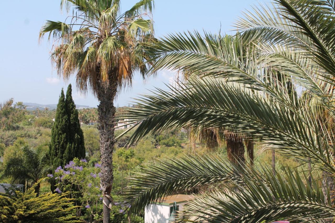 Apartament New View Sotogrande Marina - Jungla Del Loro Zewnętrze zdjęcie